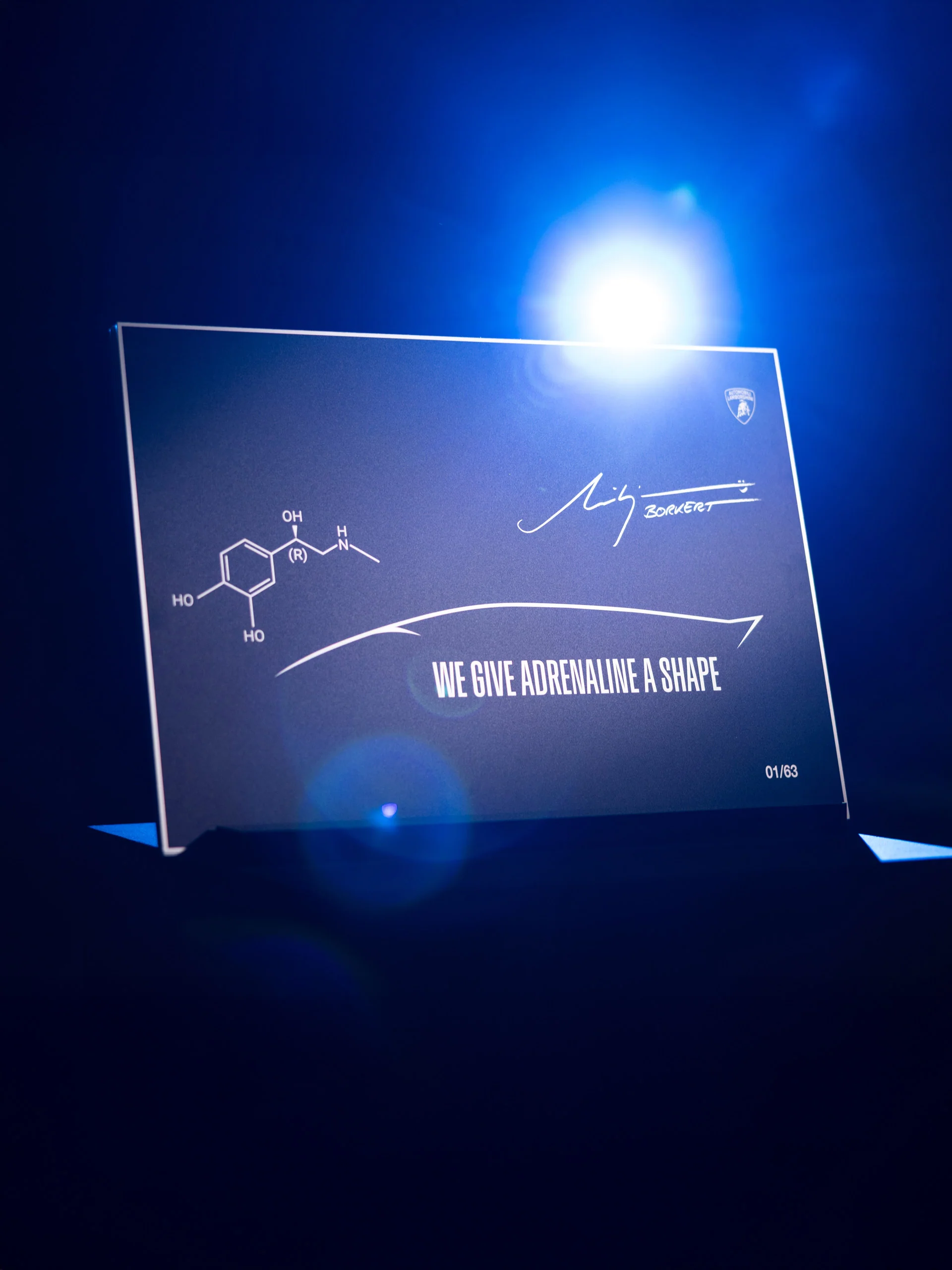 Limited edition calendar - Image 11